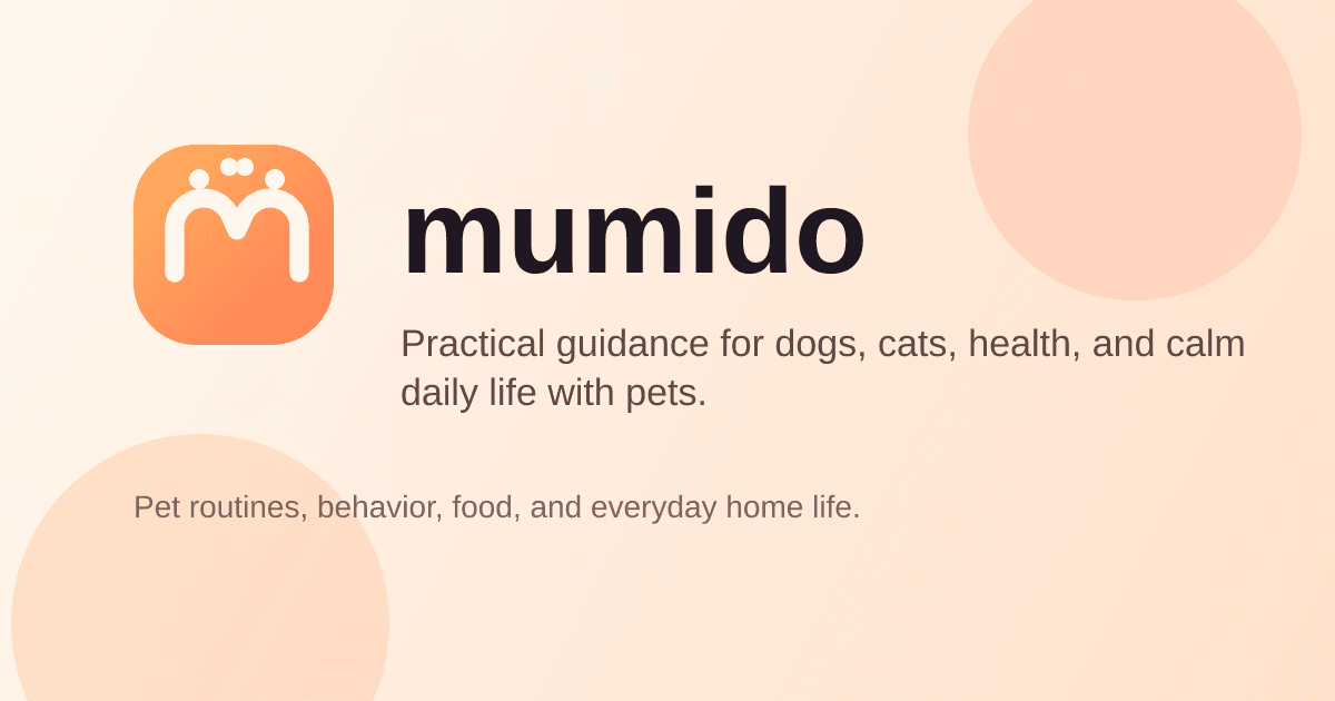 Basi della ricarica USB-C